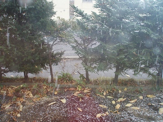 e0004756_201075.jpg