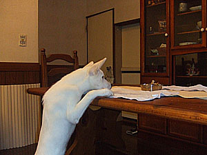 f0087256_16284141.jpg