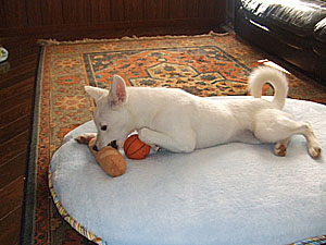 f0087256_16341323.jpg