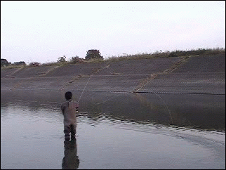 f0084561_1152797.gif