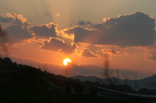 d0102968_2384682.jpg