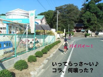 e0124868_20402162.jpg