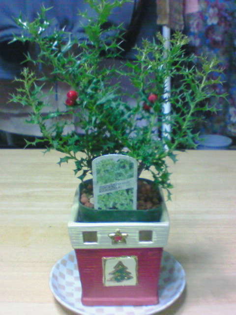 c0006671_22473083.jpg