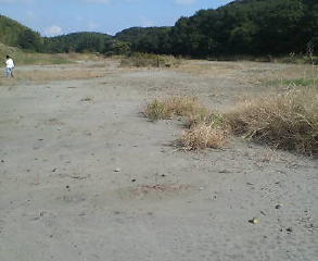 c0091572_17484327.jpg
