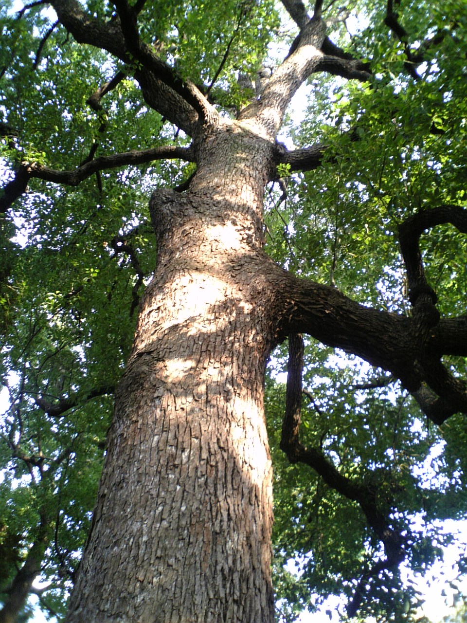 c0061774_20113273.jpg