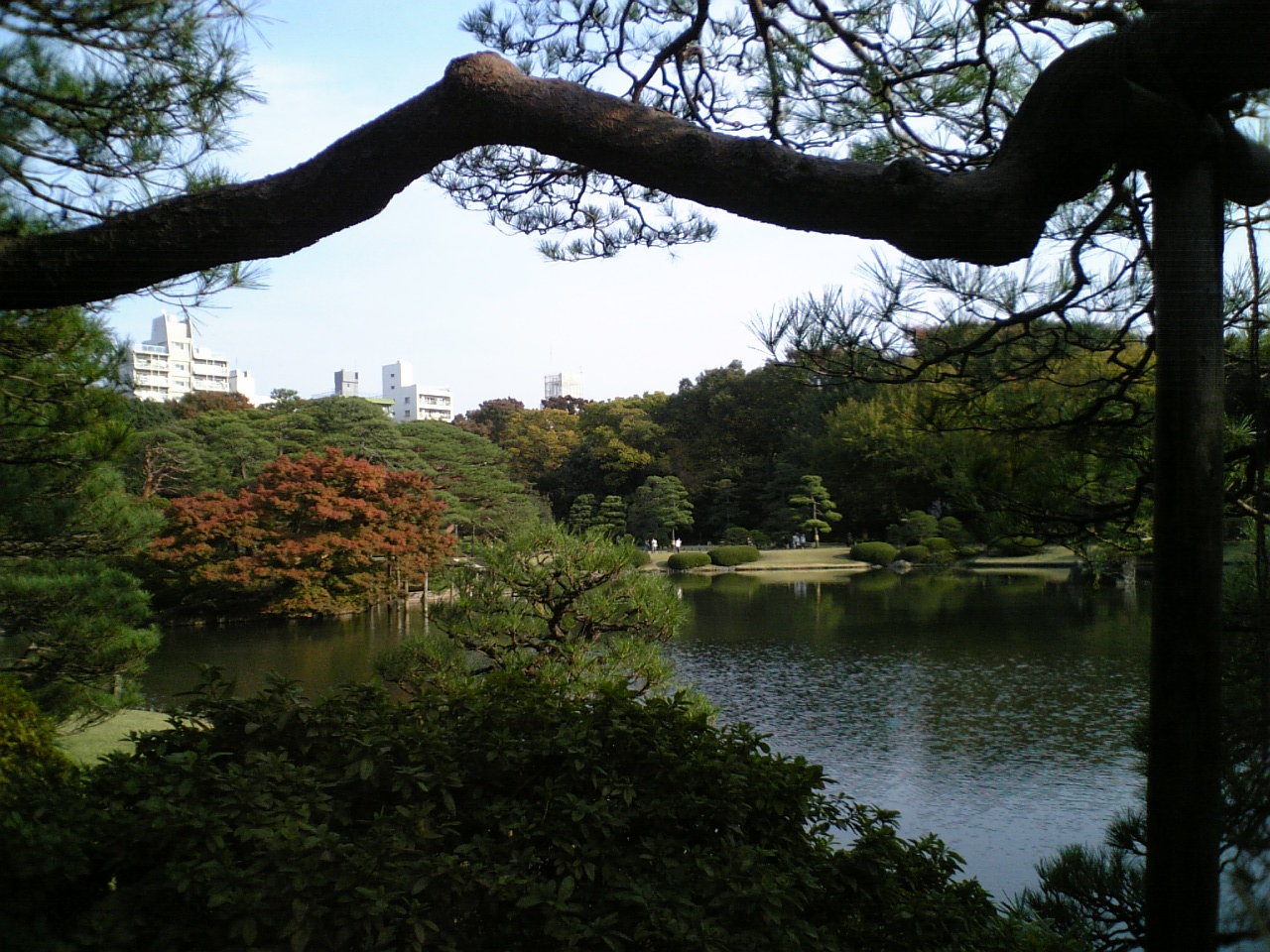 c0061774_20542168.jpg