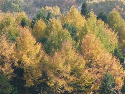 b0013478_16161788.jpg