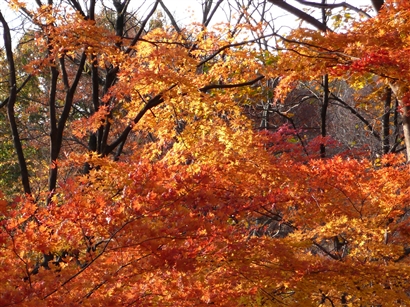b0013478_16164616.jpg