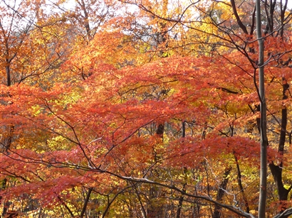 b0013478_16171432.jpg