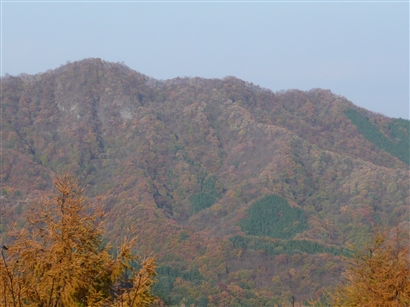 b0013478_1619225.jpg