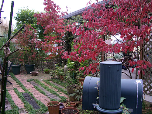 c0045882_1459891.jpg