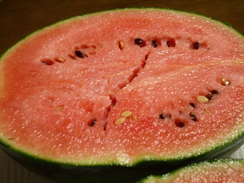 c0117383_1851329.jpg