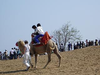 c0144683_2242597.jpg