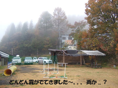 e0066883_00584.jpg