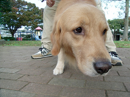c0096393_9523420.jpg