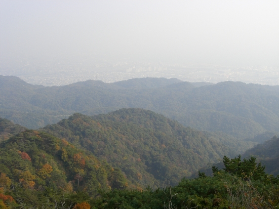 f0121293_10323184.jpg