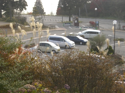 f0121293_11133457.jpg