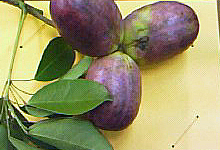 f0008597_21534881.jpg