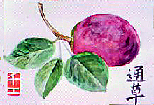 f0008597_21545459.jpg