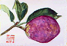f0008597_21553580.jpg