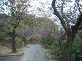 b0061107_0141054.jpg