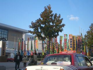 b0061107_0362239.jpg