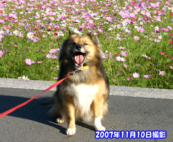 a0041108_10324120.jpg