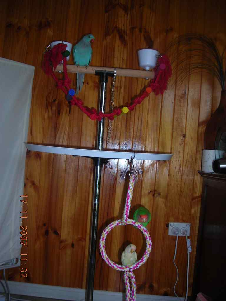 a0099310_2254597.jpg