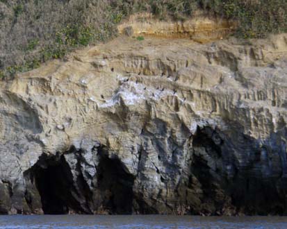b0117718_213251.jpg