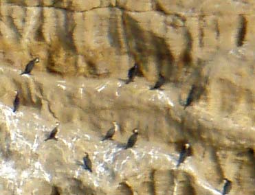 b0117718_214319.jpg