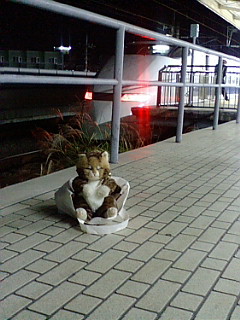 d0122021_00458.jpg