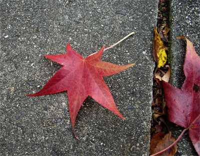 f0128527_22494471.jpg