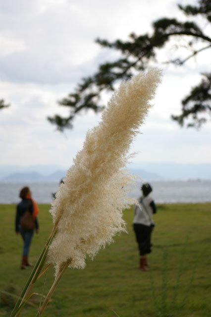 c0131034_2182029.jpg