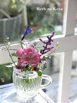 f0042135_11481621.jpg