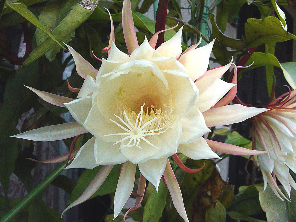 b0012636_15392759.jpg