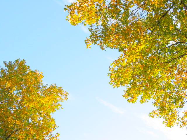 a0095337_19234795.jpg