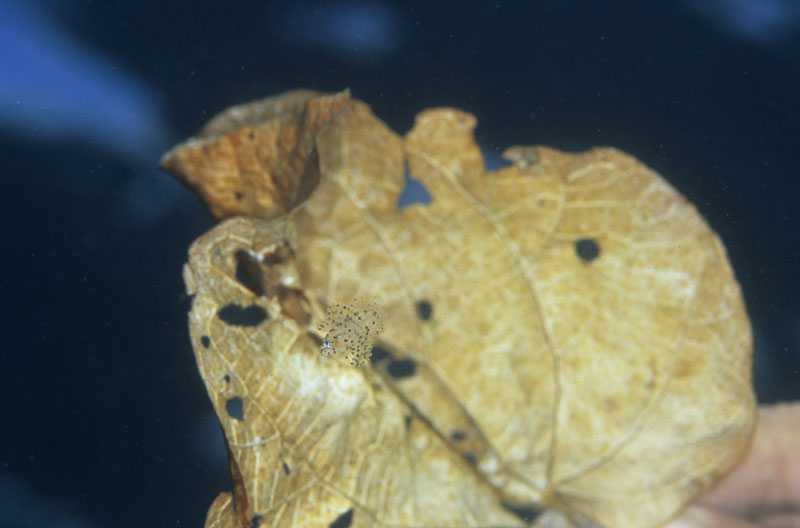 b0042837_152011100.jpg