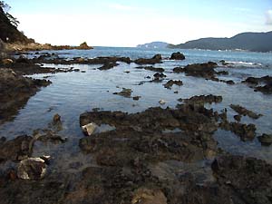 c0019338_9321050.jpg
