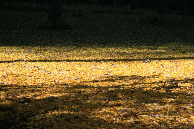 f0153339_10131886.jpg