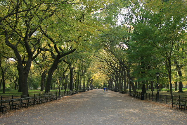 f0153339_1013488.jpg