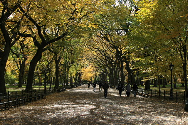 f0153339_1021892.jpg