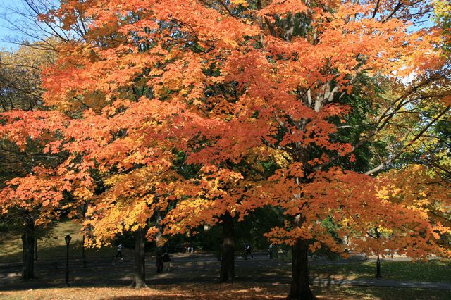 f0153339_1157764.jpg