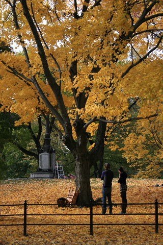f0153339_9595622.jpg
