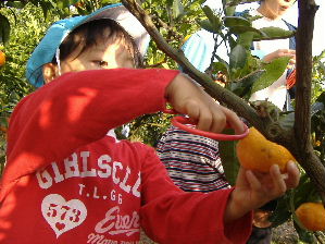 f0082141_1927781.jpg