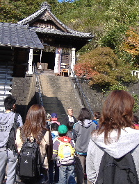 f0082141_2301421.jpg