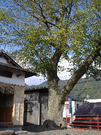 f0082141_2319481.jpg