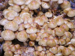 e0016955_2217227.jpg