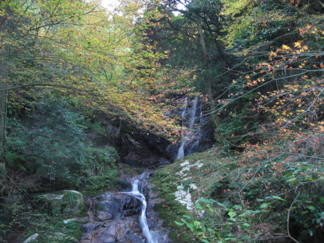 f0016066_17333627.jpg