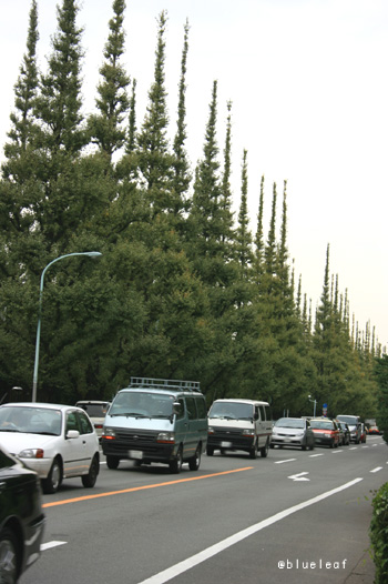 c0027369_11545124.jpg