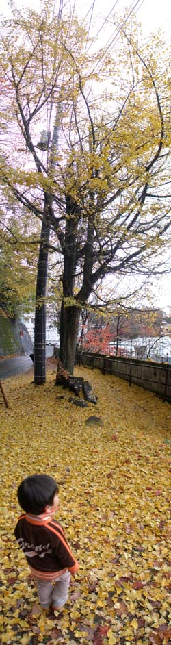 c0122670_1423266.jpg